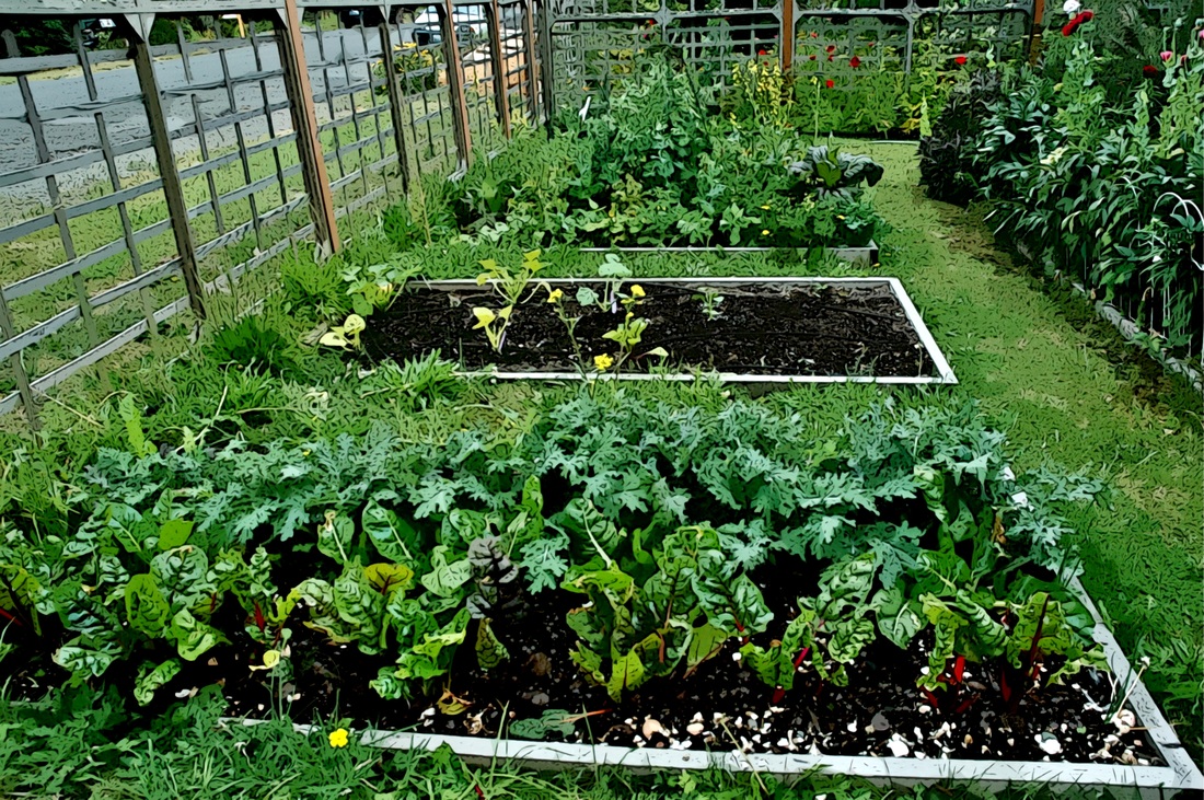 4 small garden beds